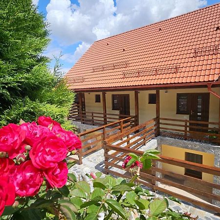 Matei Residence Μπρασόβ Εξωτερικό φωτογραφία