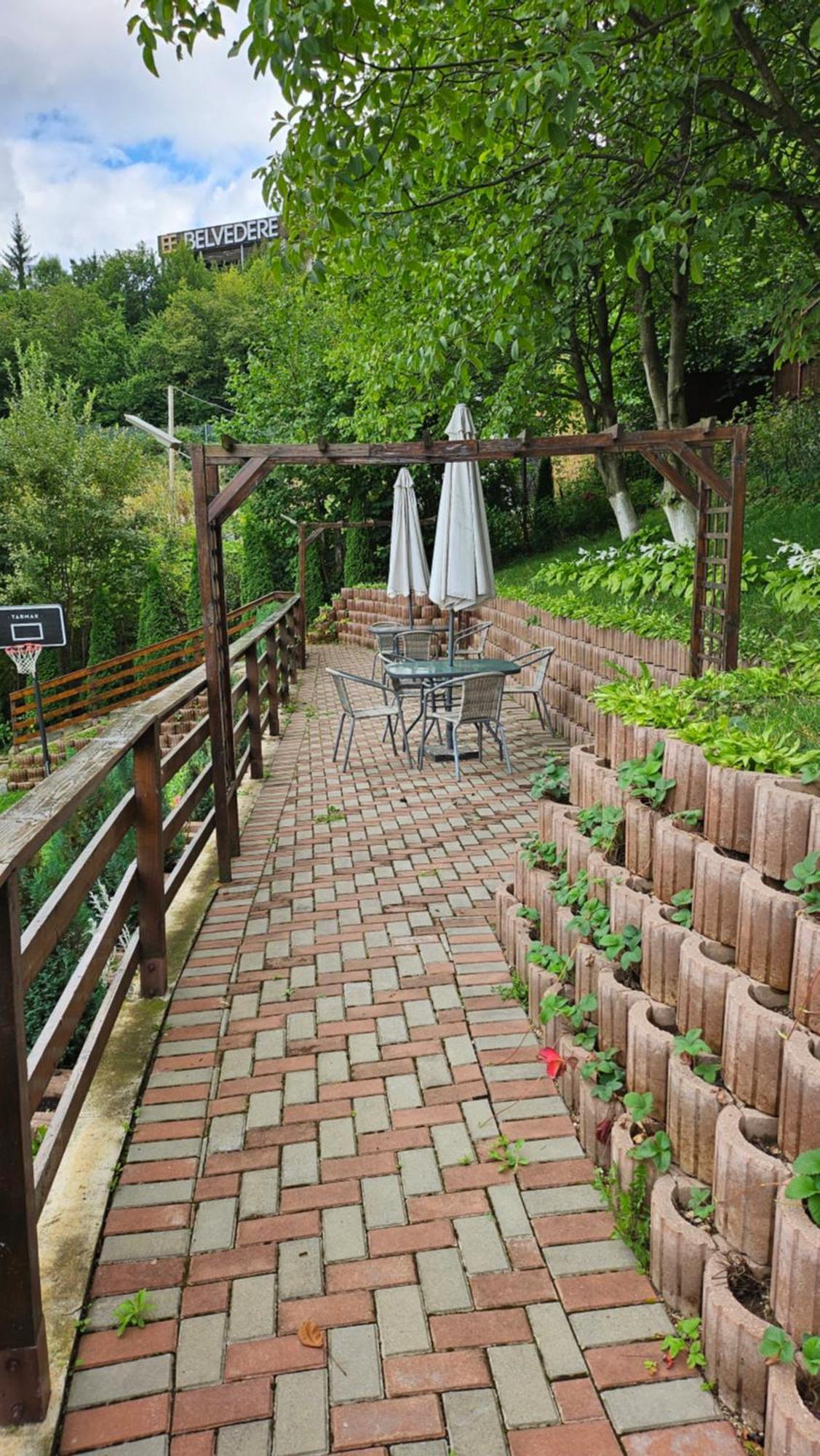 Matei Residence Μπρασόβ Εξωτερικό φωτογραφία